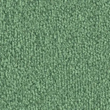 Vorwerk Safira Teppichboden Farbcode 4G67 – Draufsicht ohne Etikett